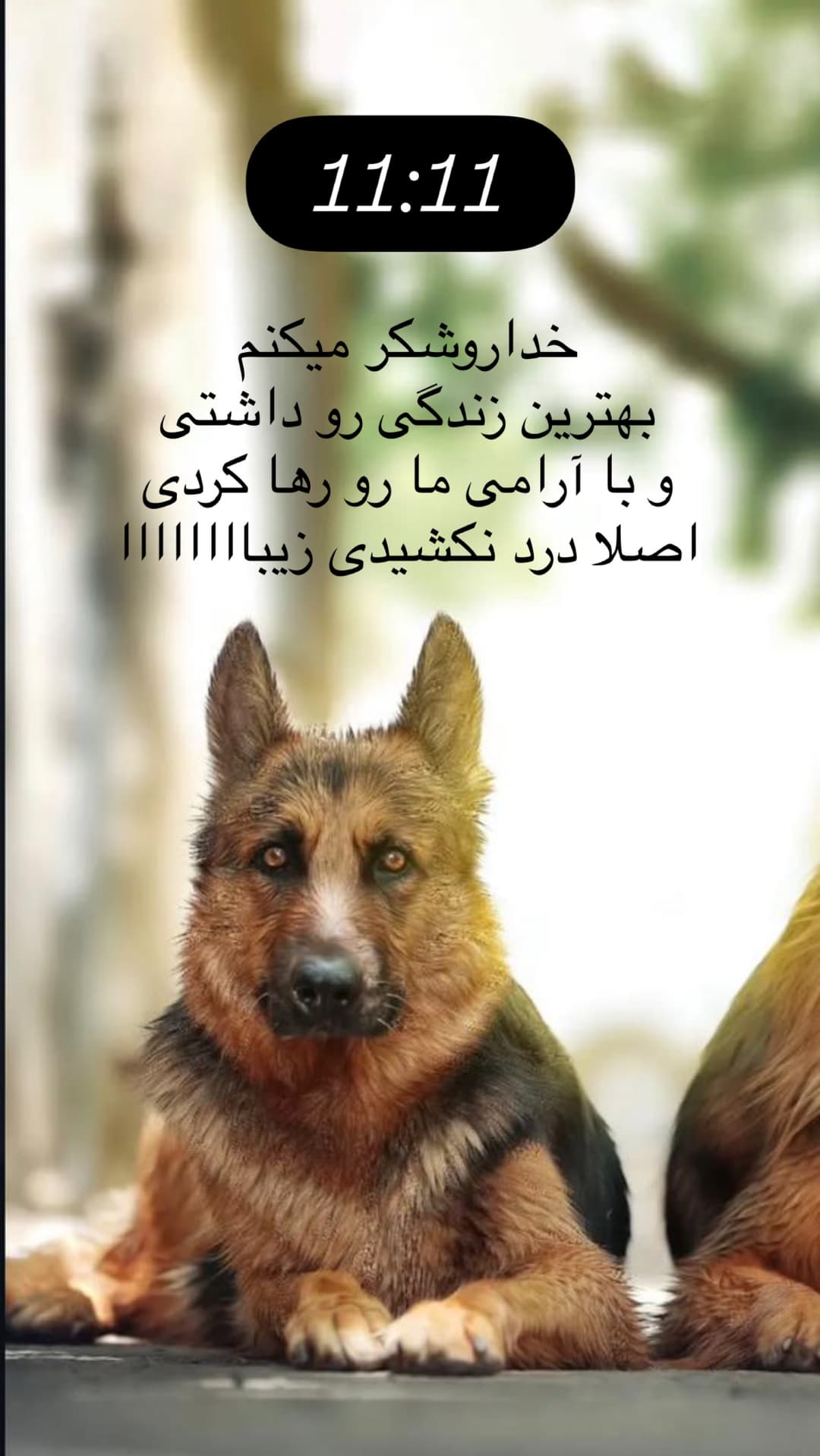  جدید ترین استوری اینستاگرام مسعود رضوی