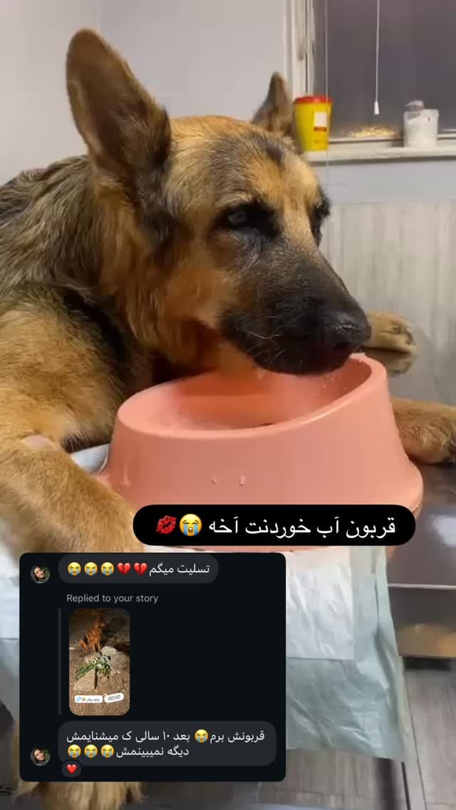  جدید ترین استوری اینستاگرام مسعود رضوی