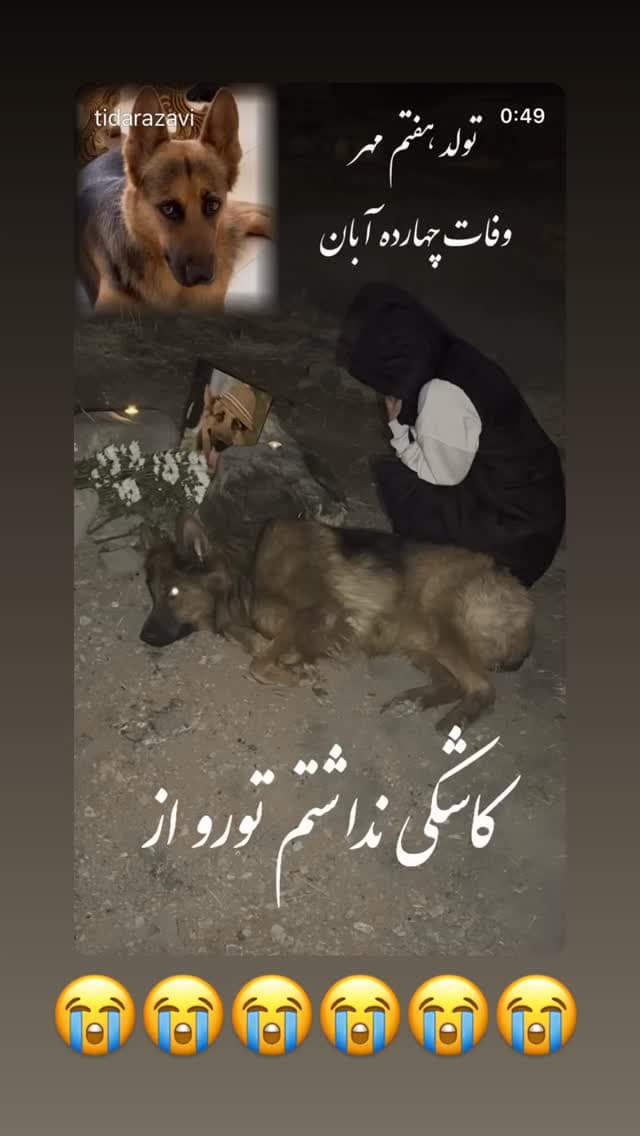  جدید ترین استوری اینستاگرام مسعود رضوی