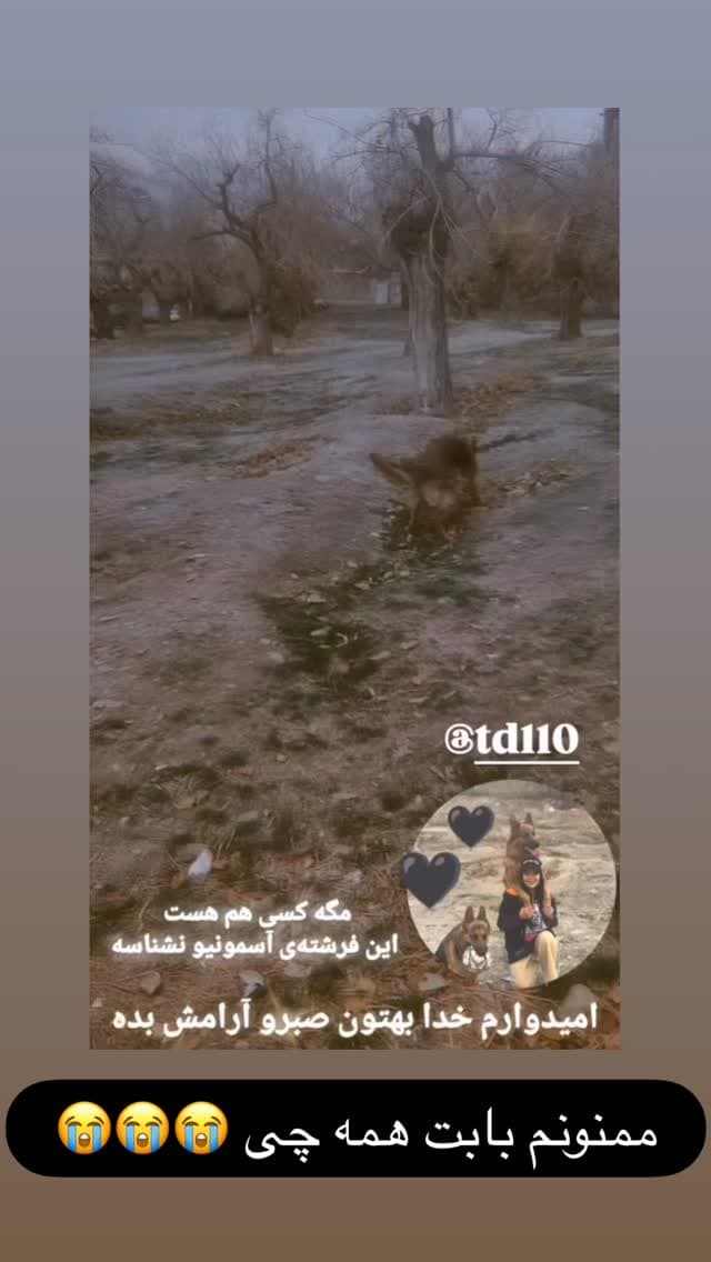 جدید ترین استوری اینستاگرام مسعود رضوی