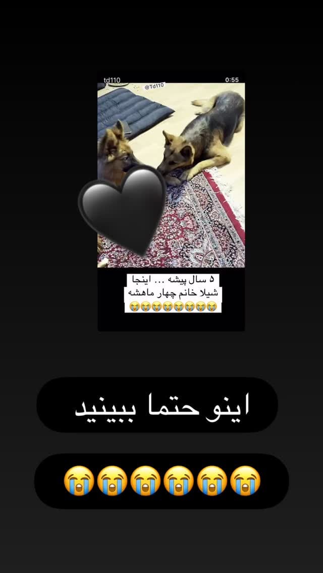  جدید ترین استوری اینستاگرام مسعود رضوی