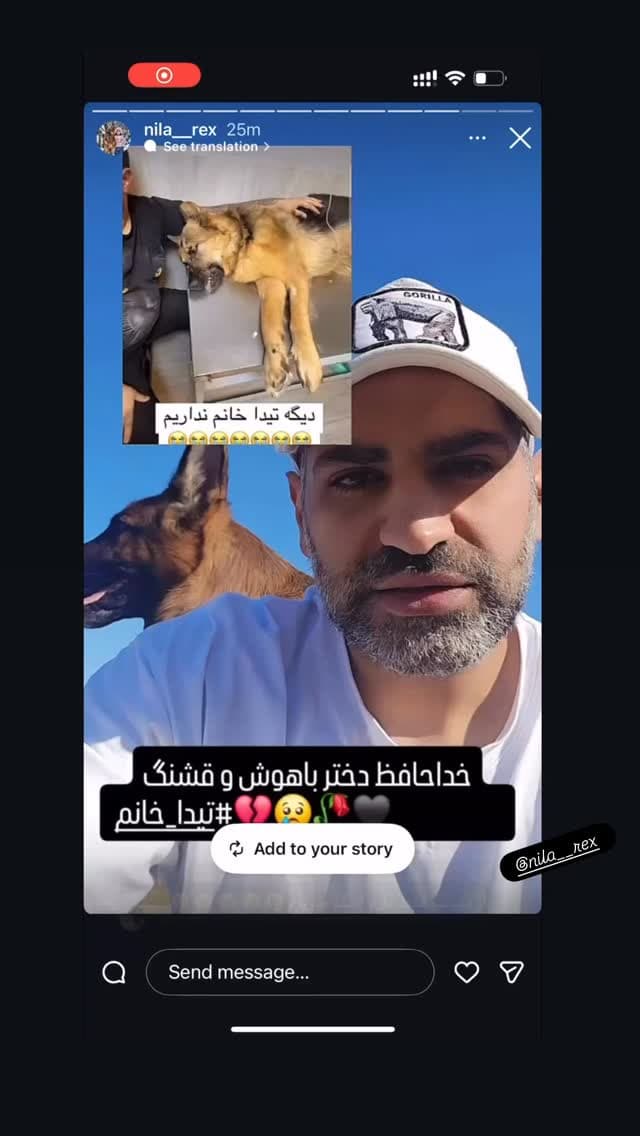  جدید ترین استوری اینستاگرام مسعود رضوی