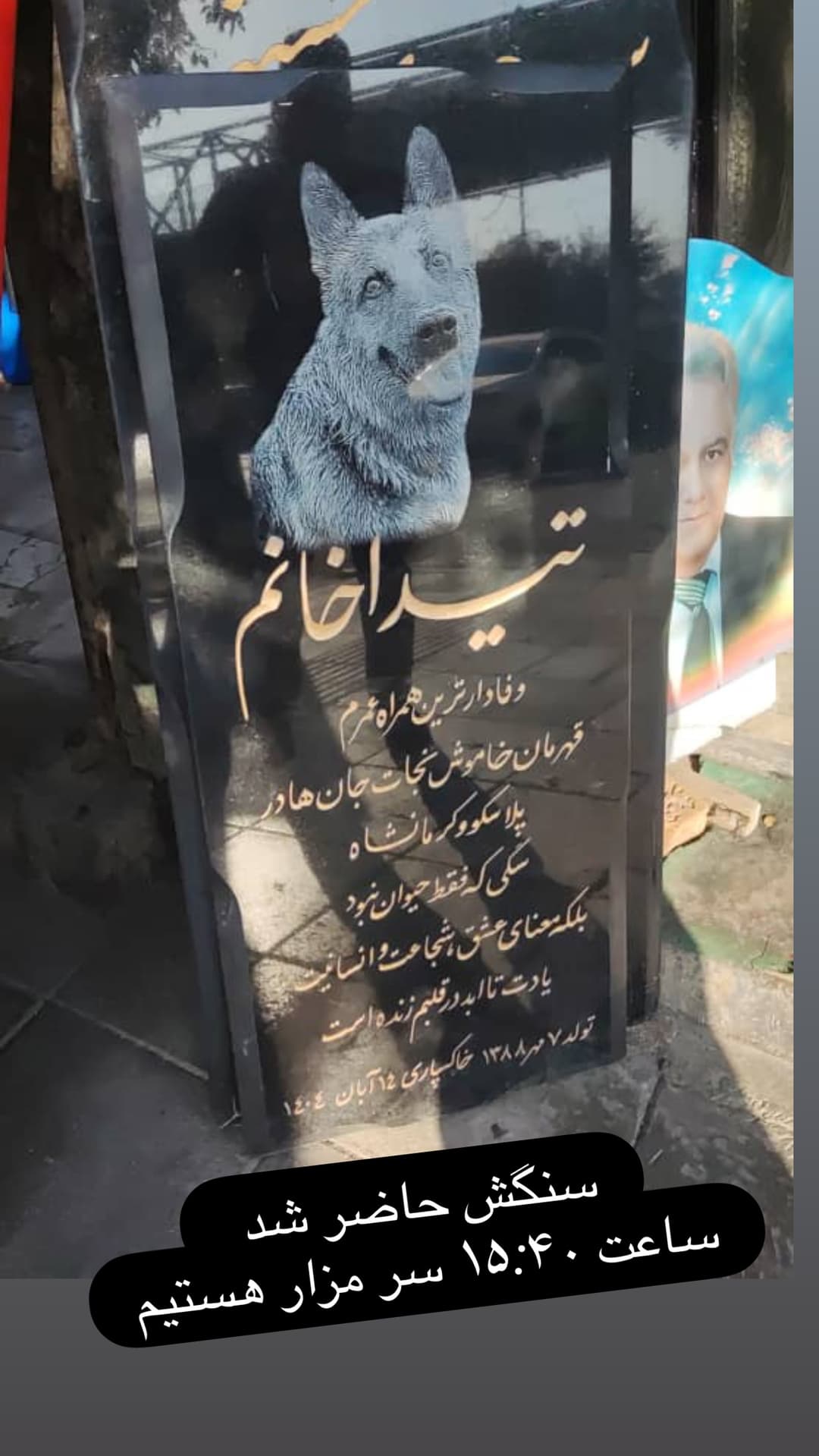  جدید ترین استوری اینستاگرام مسعود رضوی