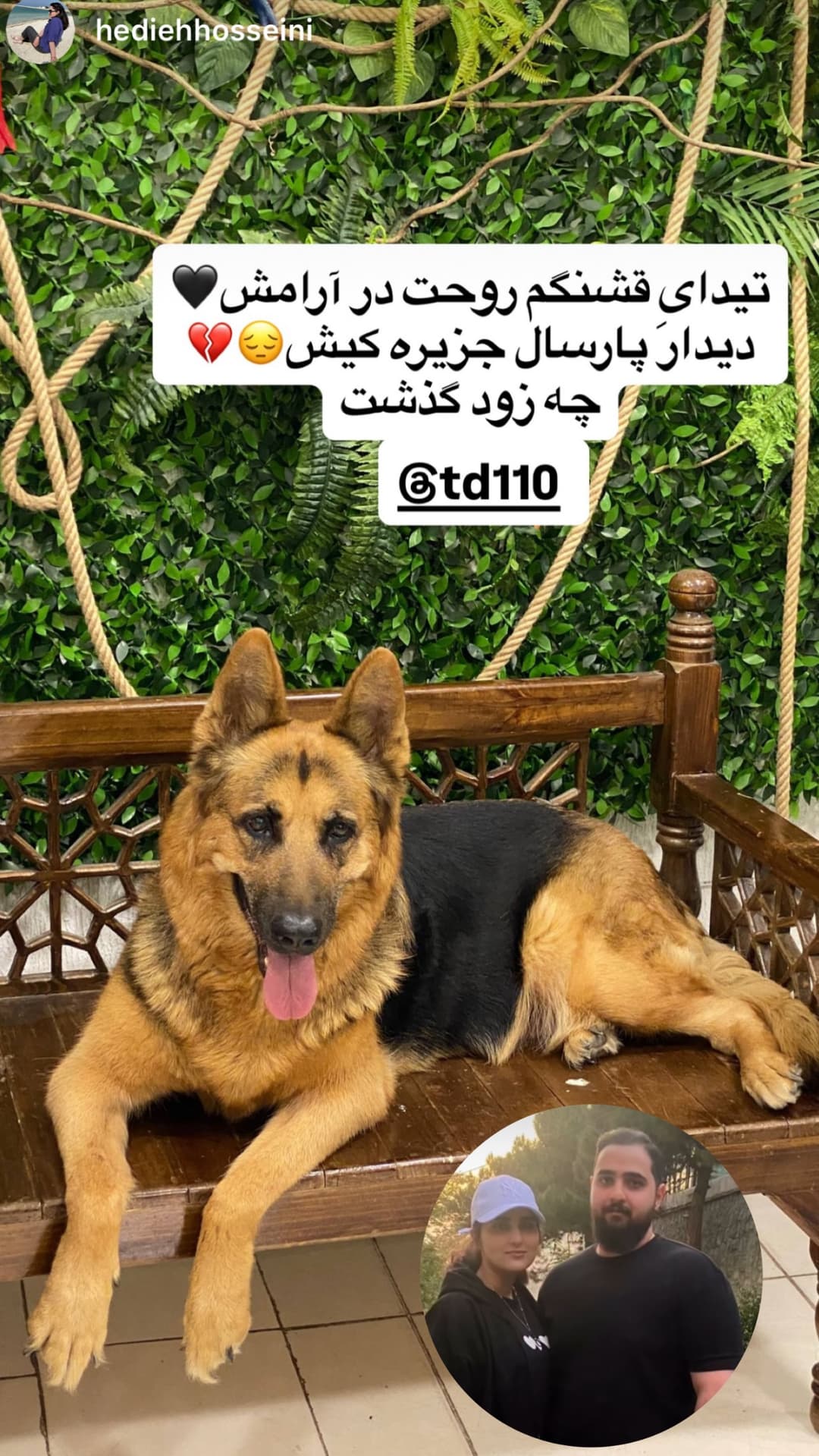  جدید ترین استوری اینستاگرام مسعود رضوی