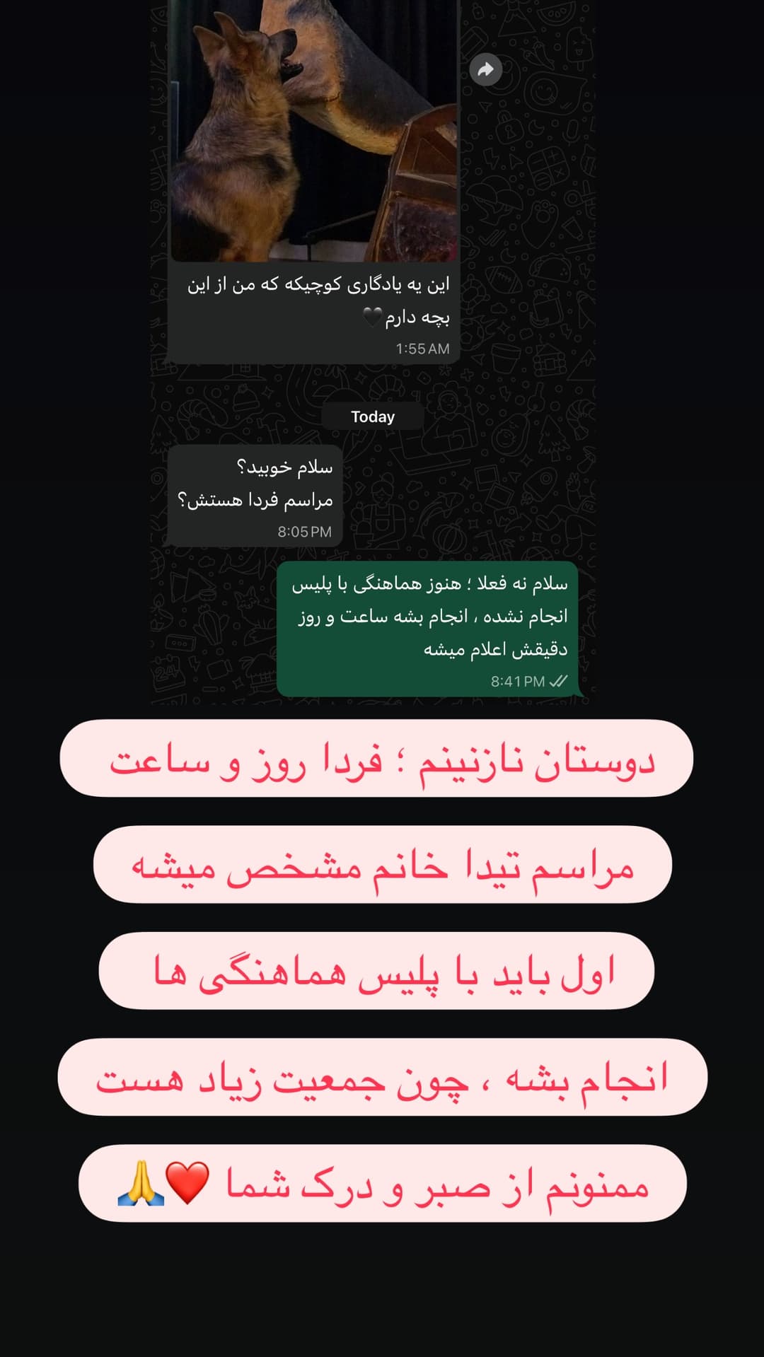  جدید ترین استوری اینستاگرام مسعود رضوی