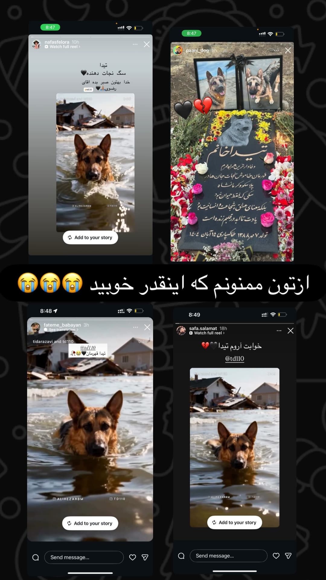  جدید ترین استوری اینستاگرام مسعود رضوی
