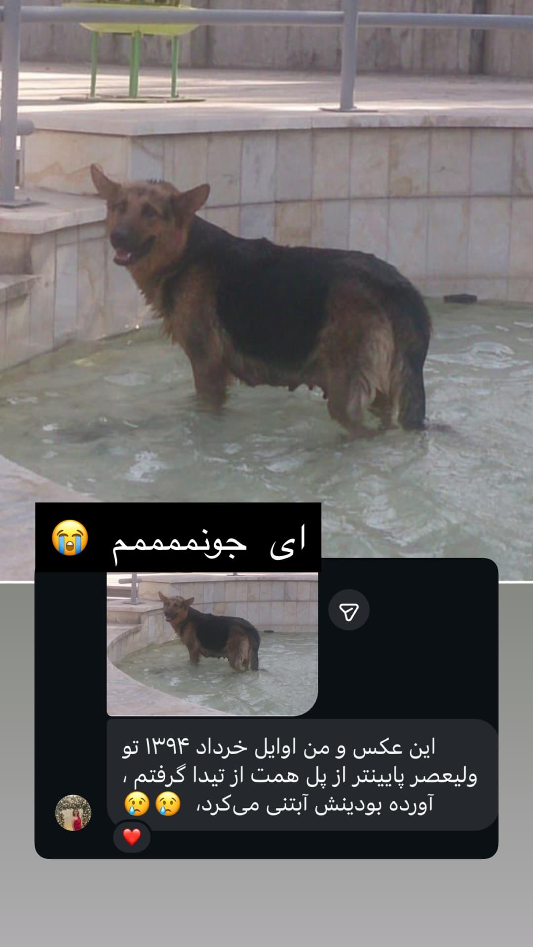  جدید ترین استوری اینستاگرام مسعود رضوی