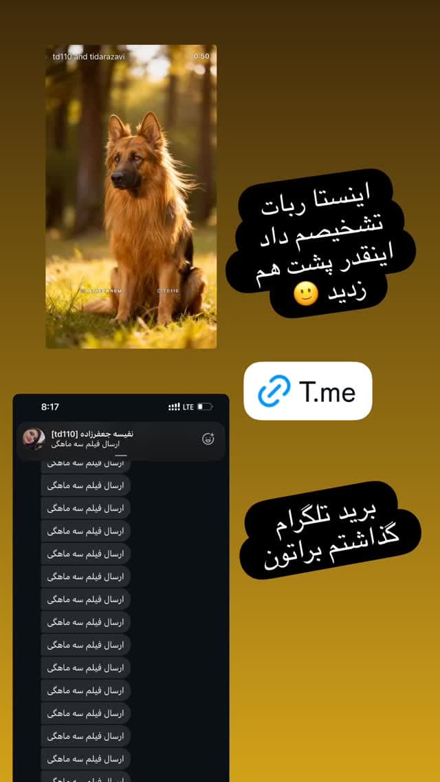  جدید ترین استوری اینستاگرام مسعود رضوی