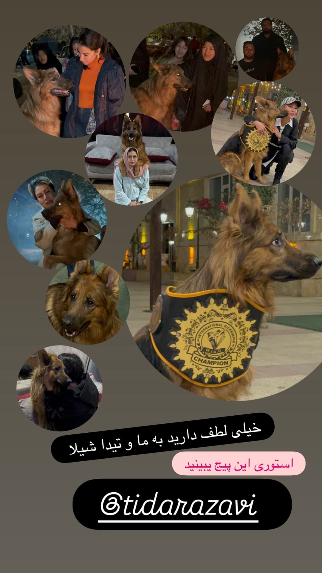  جدید ترین استوری اینستاگرام مسعود رضوی