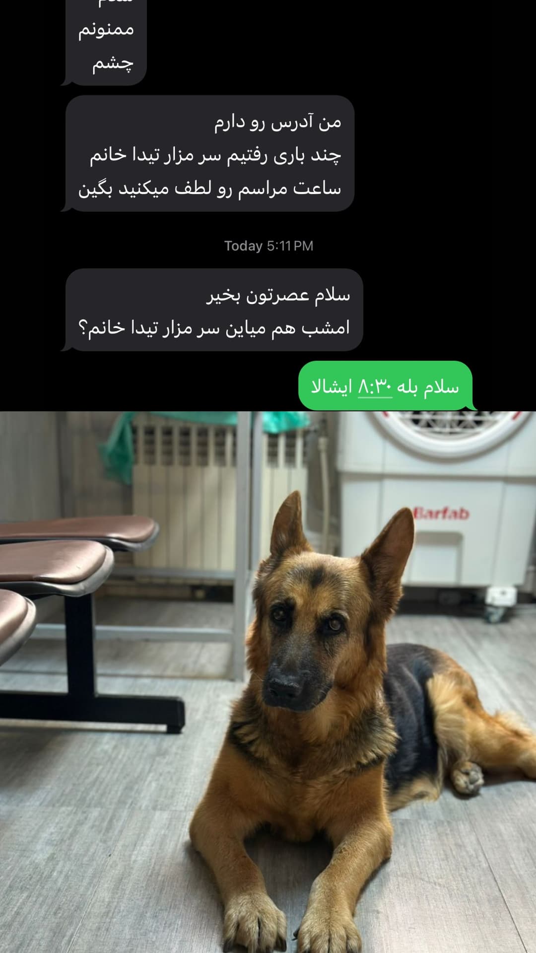  جدید ترین استوری اینستاگرام مسعود رضوی