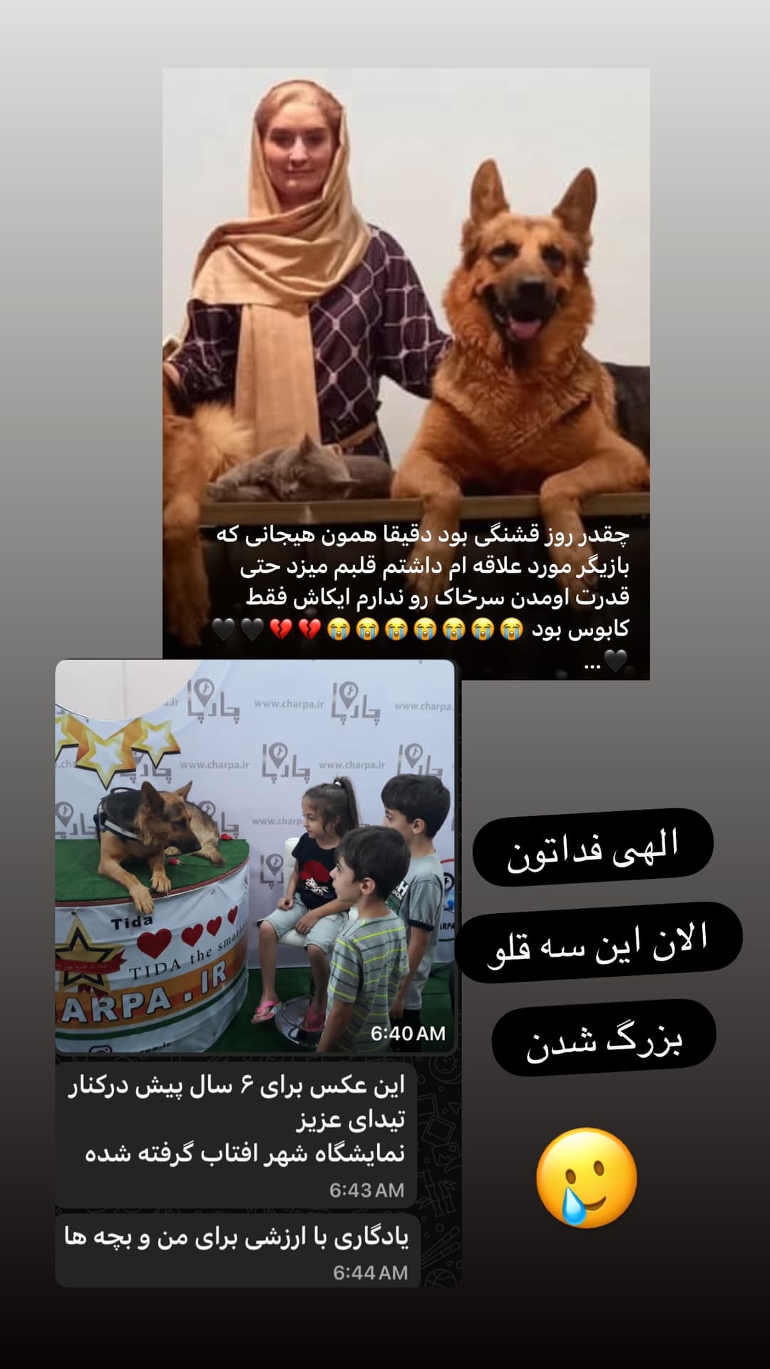  جدید ترین استوری اینستاگرام مسعود رضوی
