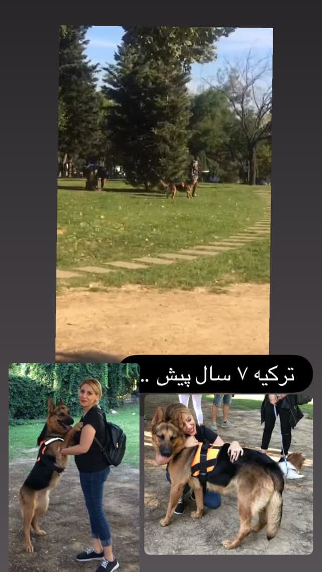  جدید ترین استوری اینستاگرام مسعود رضوی