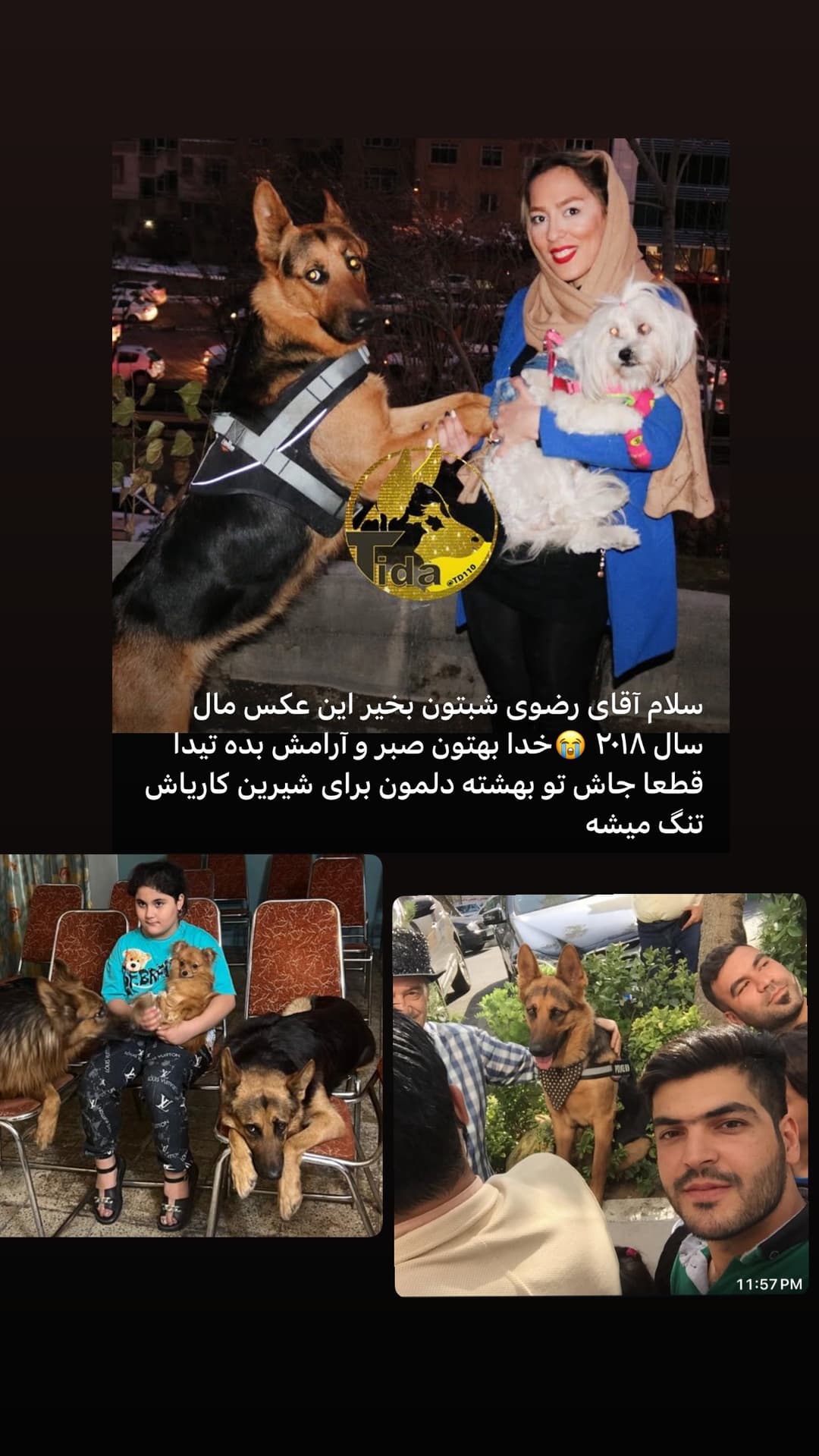  جدید ترین استوری اینستاگرام مسعود رضوی