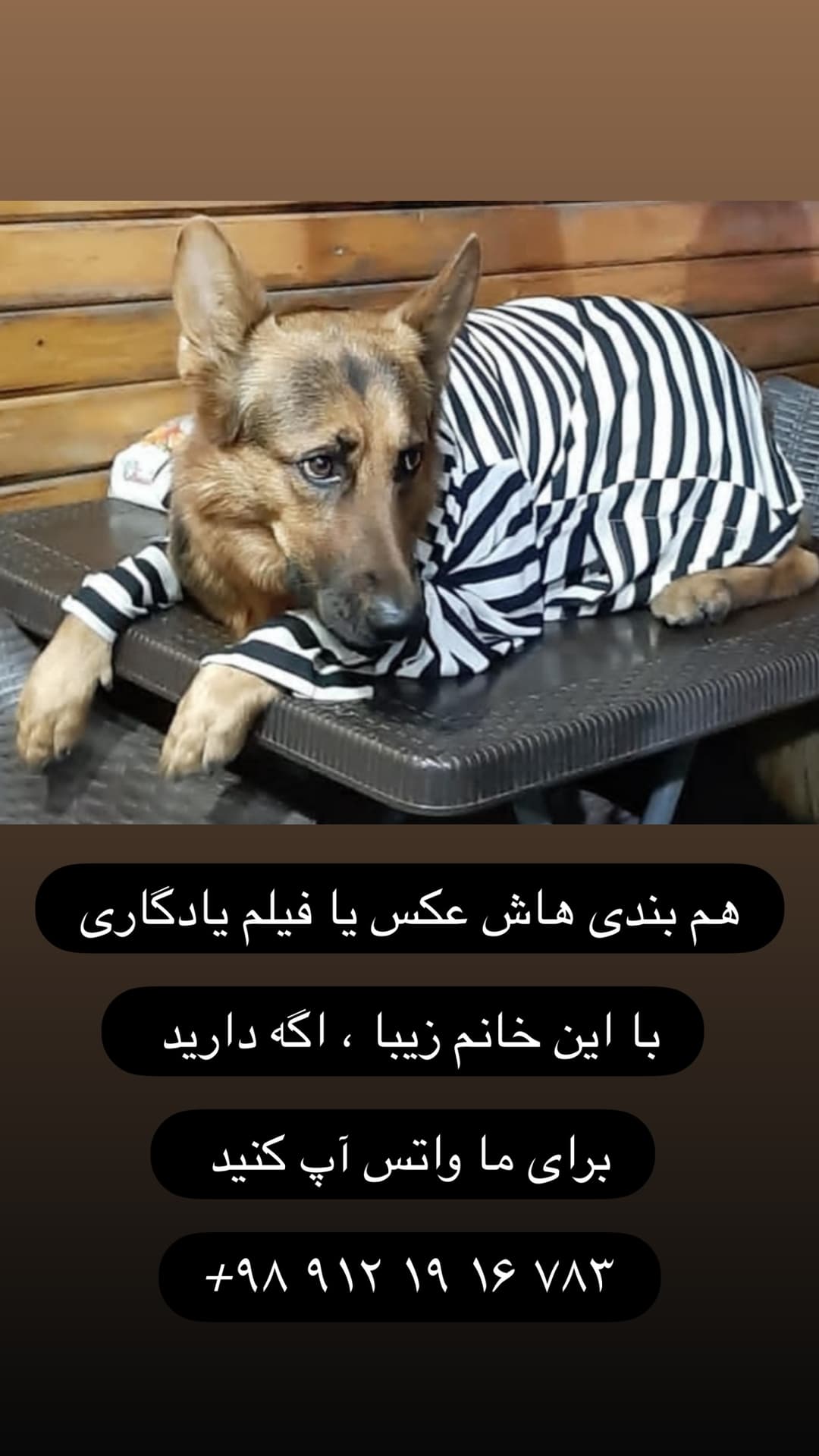  جدید ترین استوری اینستاگرام مسعود رضوی