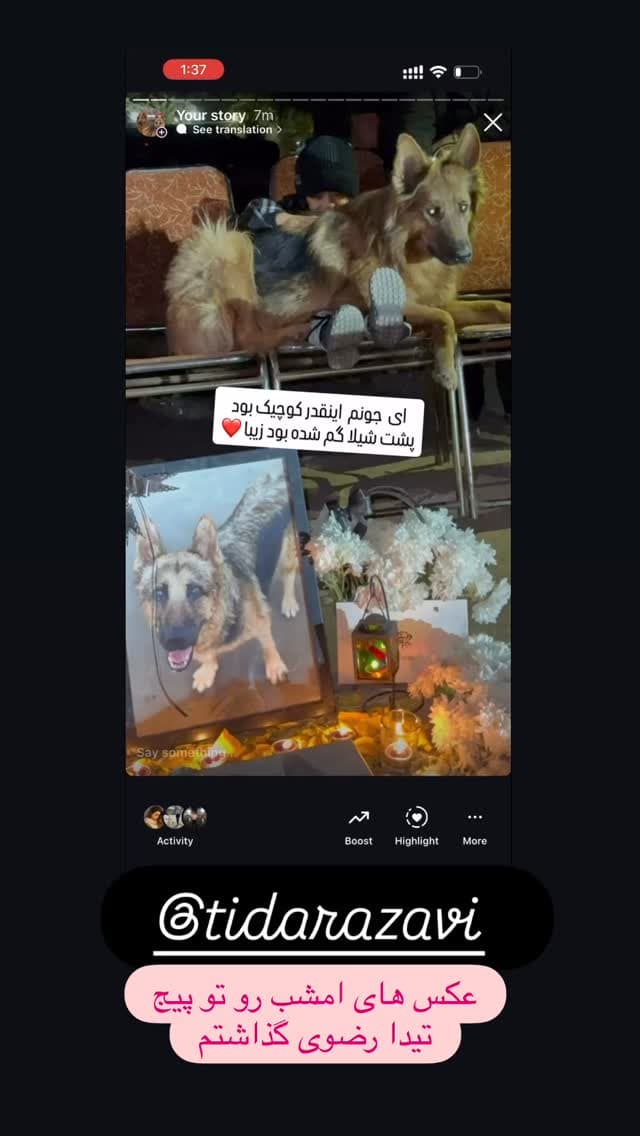  جدید ترین استوری اینستاگرام مسعود رضوی