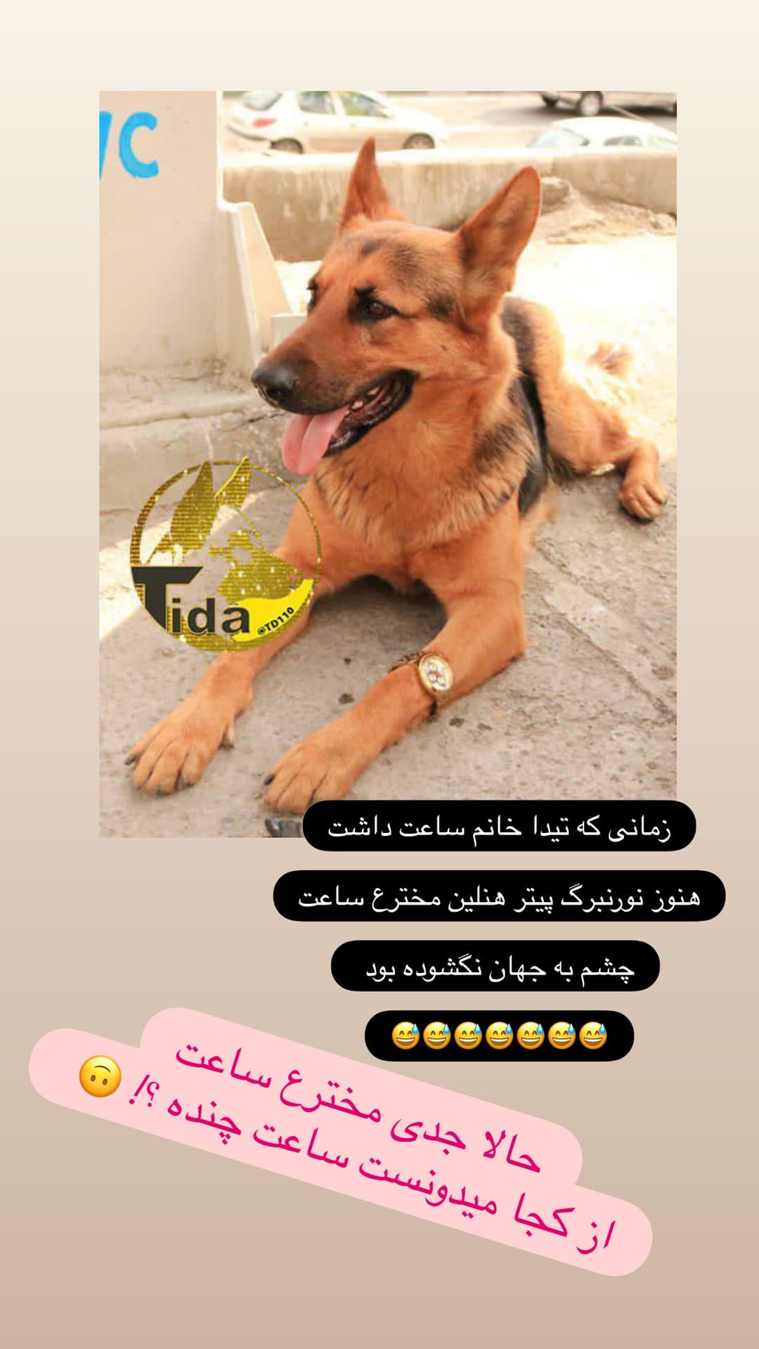  جدید ترین استوری اینستاگرام مسعود رضوی