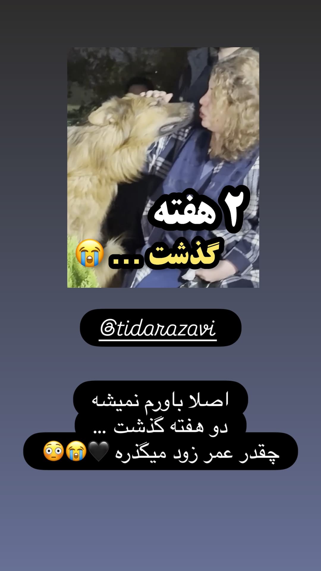  جدید ترین استوری اینستاگرام مسعود رضوی