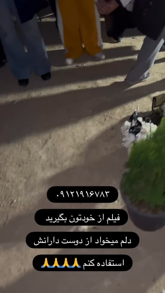  جدید ترین استوری اینستاگرام مسعود رضوی