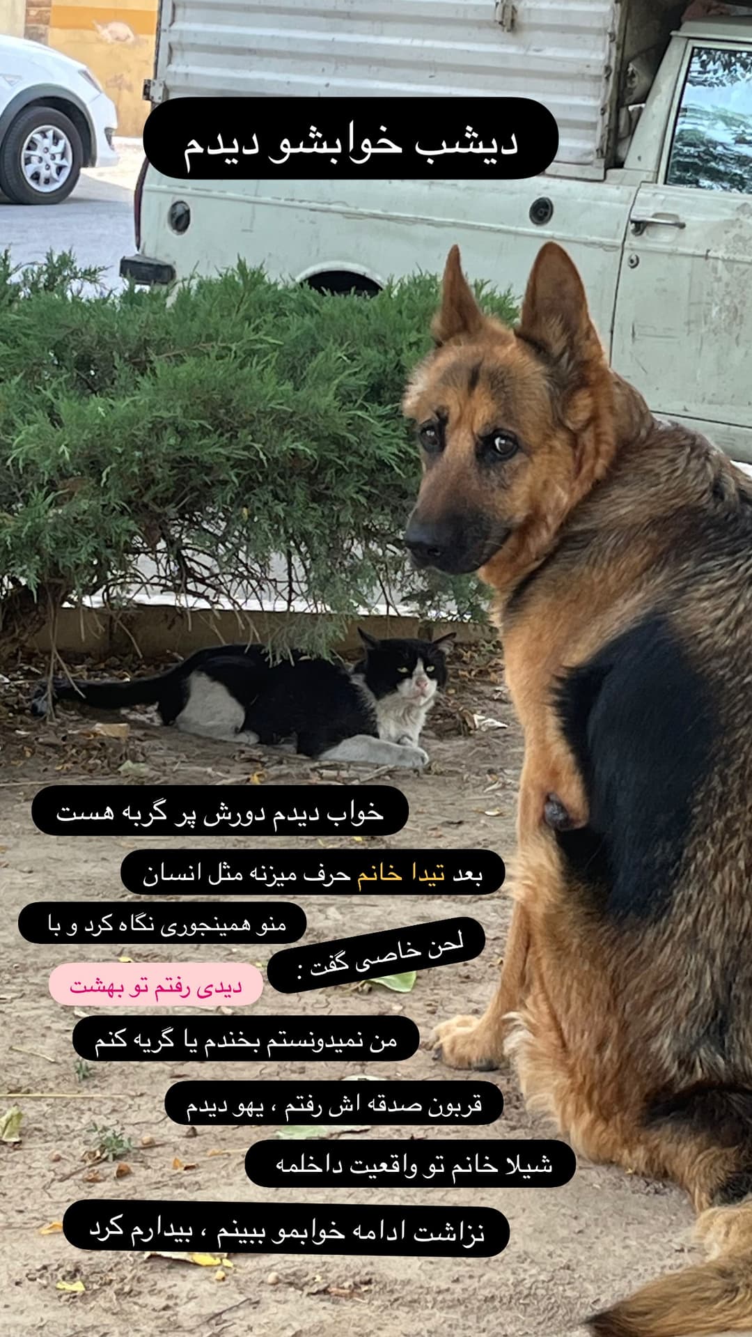  جدید ترین استوری اینستاگرام مسعود رضوی