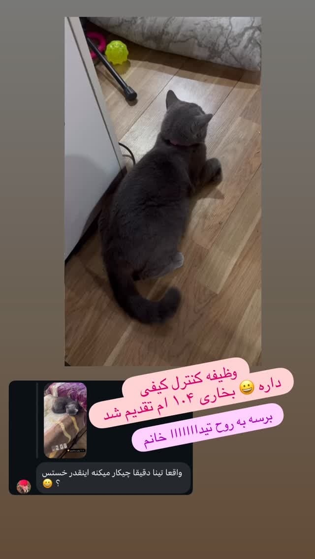  جدید ترین استوری اینستاگرام مسعود رضوی