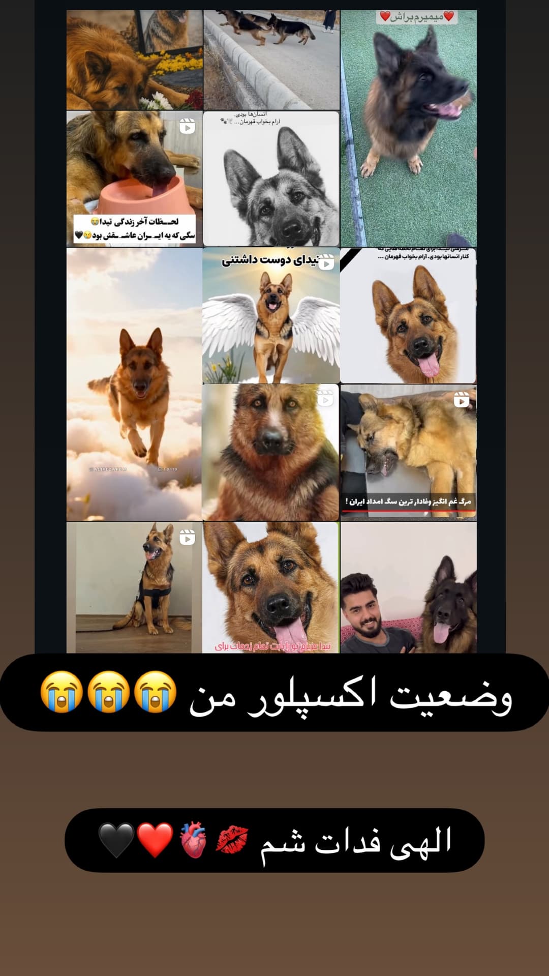  جدید ترین استوری اینستاگرام مسعود رضوی