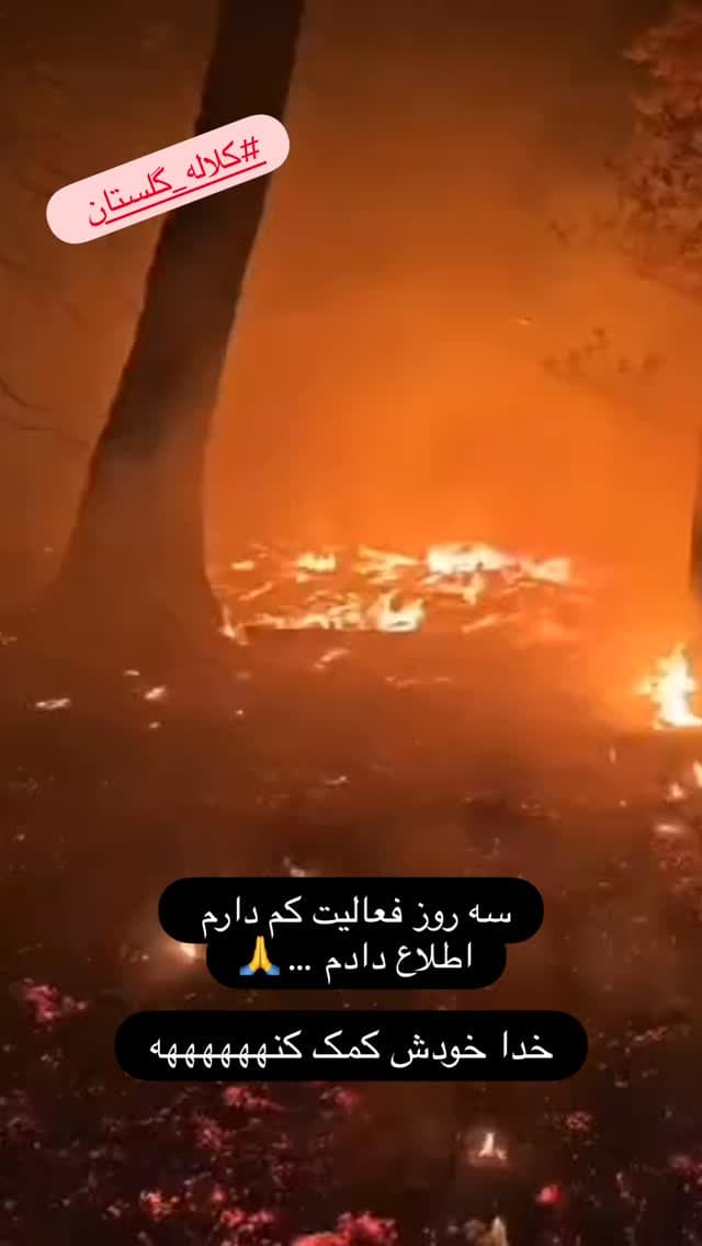  جدید ترین استوری اینستاگرام مسعود رضوی
