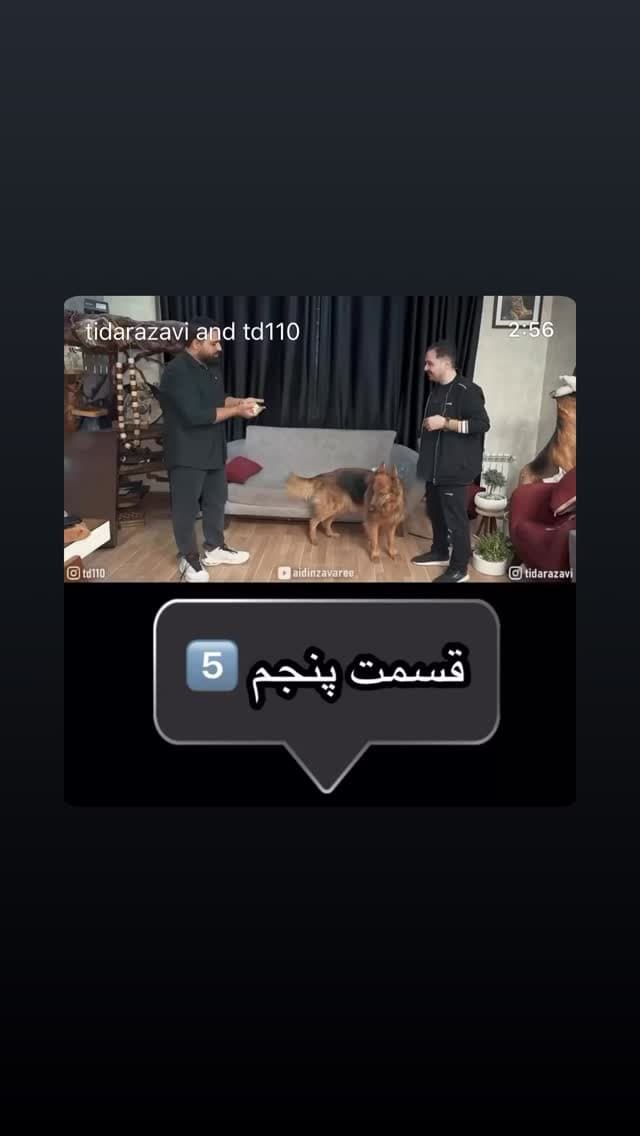  جدید ترین استوری اینستاگرام مسعود رضوی