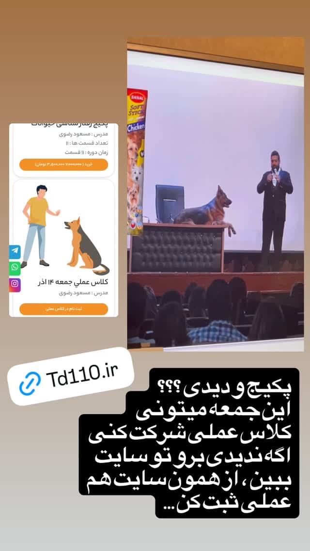  جدید ترین استوری اینستاگرام مسعود رضوی