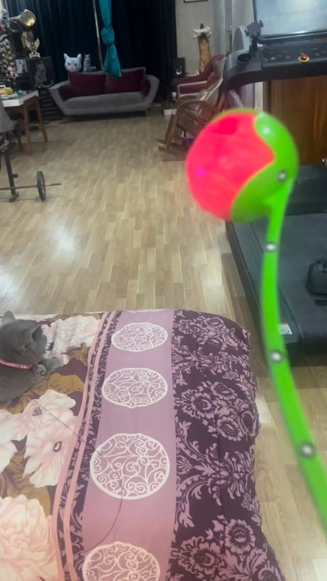  جدید ترین استوری اینستاگرام مسعود رضوی