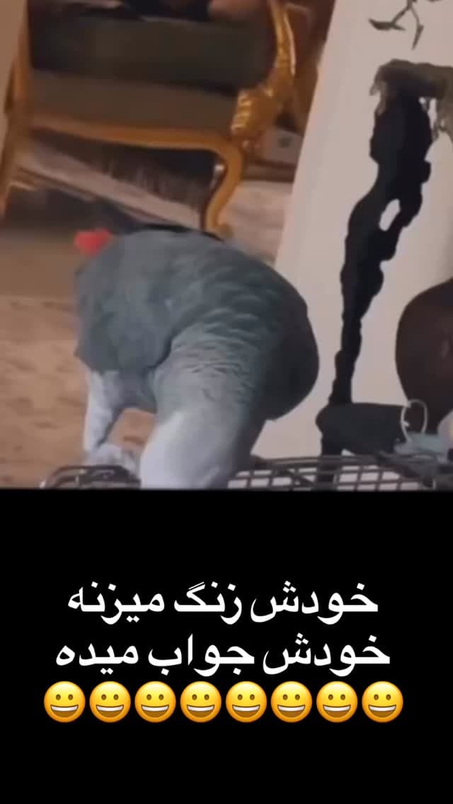 جدید ترین استوری اینستاگرام مسعود رضوی
