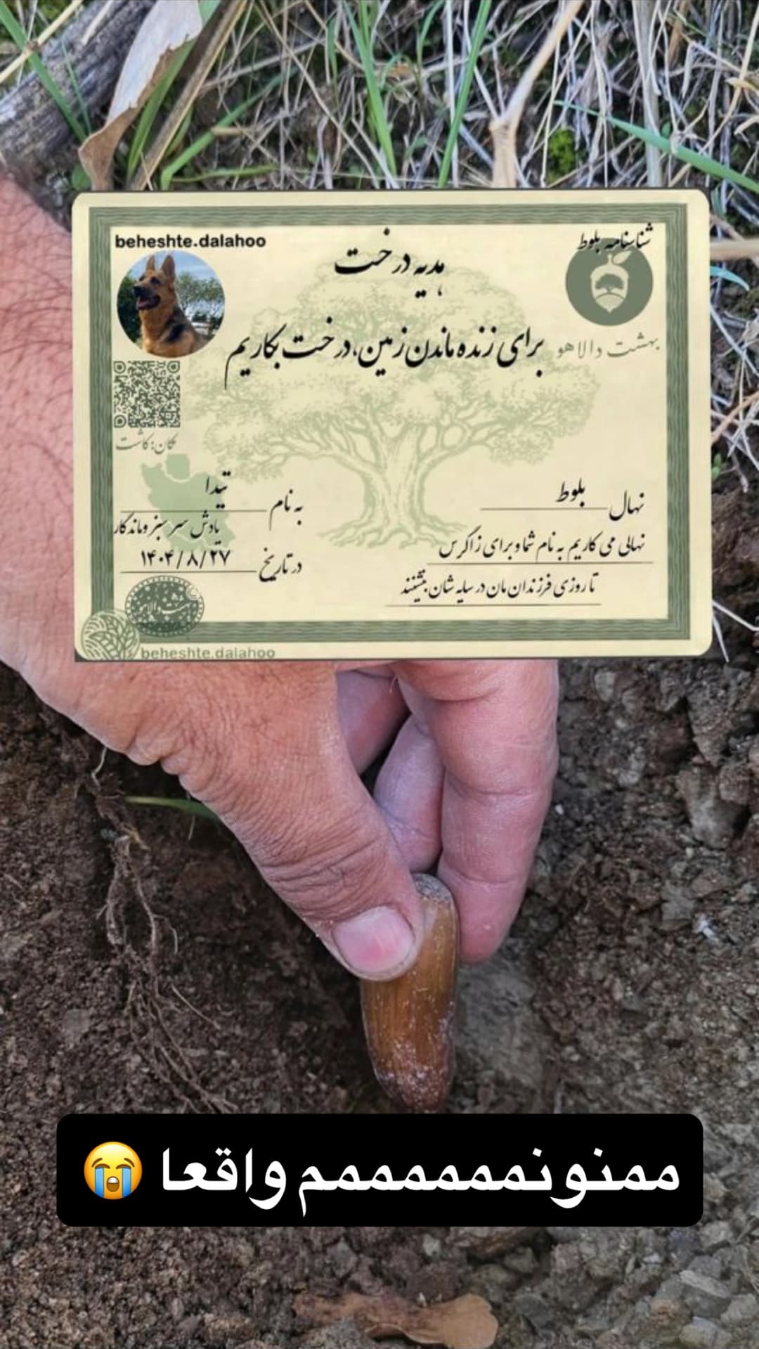  جدید ترین استوری اینستاگرام مسعود رضوی