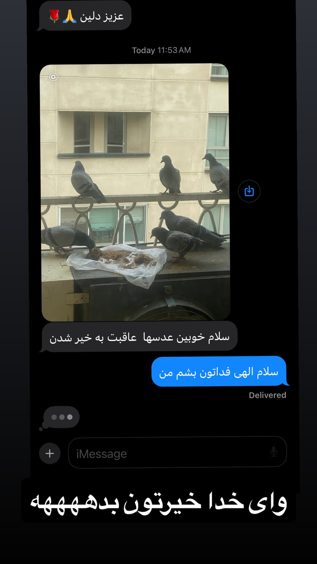  جدید ترین استوری اینستاگرام مسعود رضوی