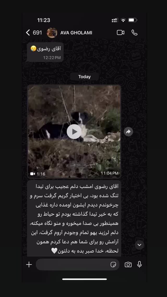  جدید ترین استوری اینستاگرام مسعود رضوی