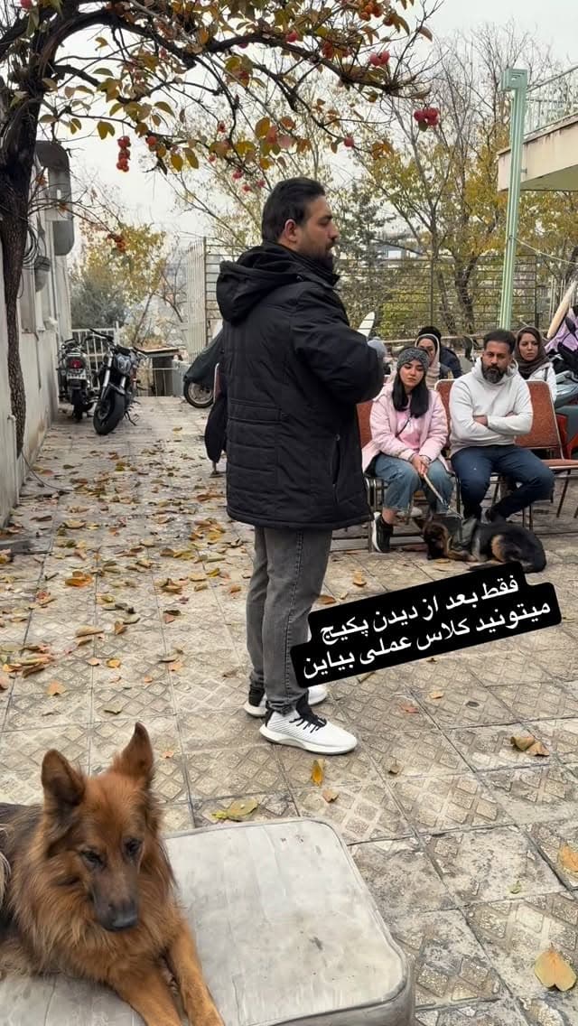  جدید ترین استوری اینستاگرام مسعود رضوی