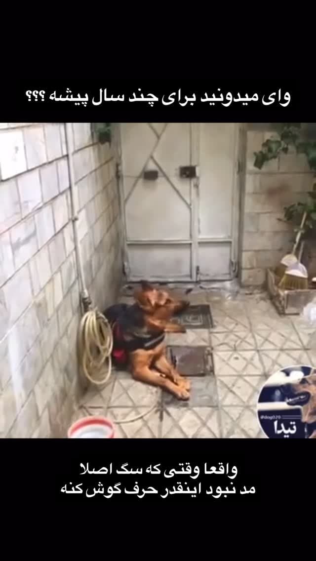  جدید ترین استوری اینستاگرام مسعود رضوی