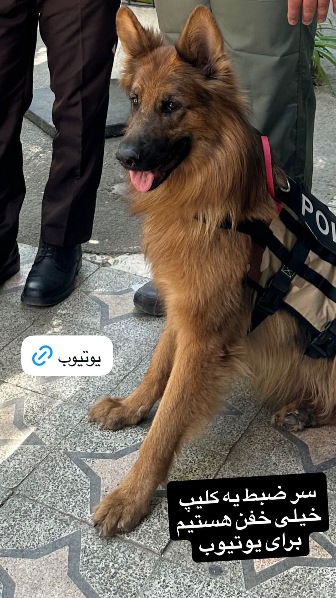  جدید ترین استوری اینستاگرام مسعود رضوی
