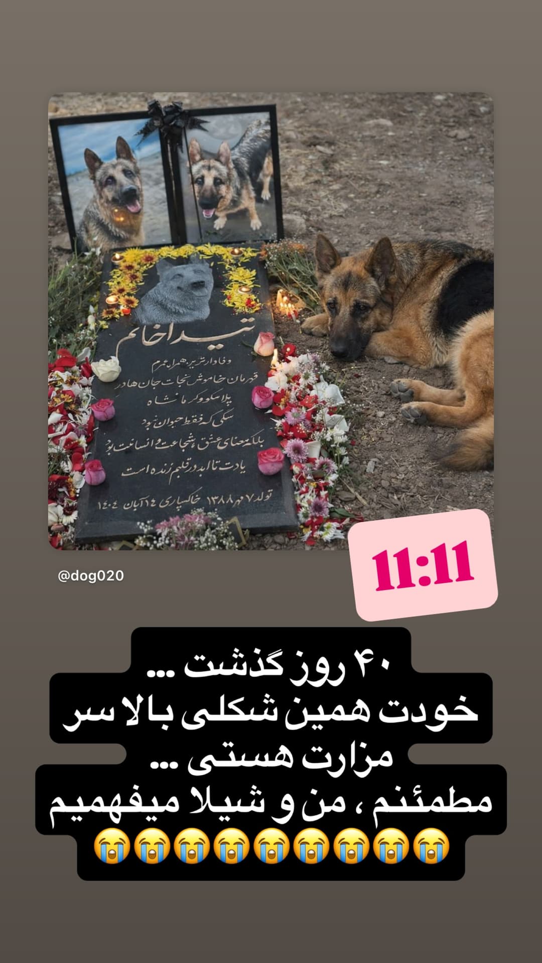  جدید ترین استوری اینستاگرام مسعود رضوی