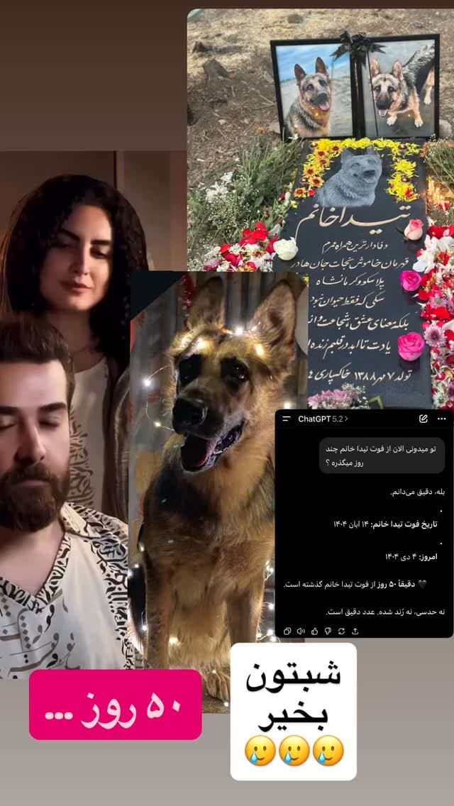  جدید ترین استوری اینستاگرام مسعود رضوی
