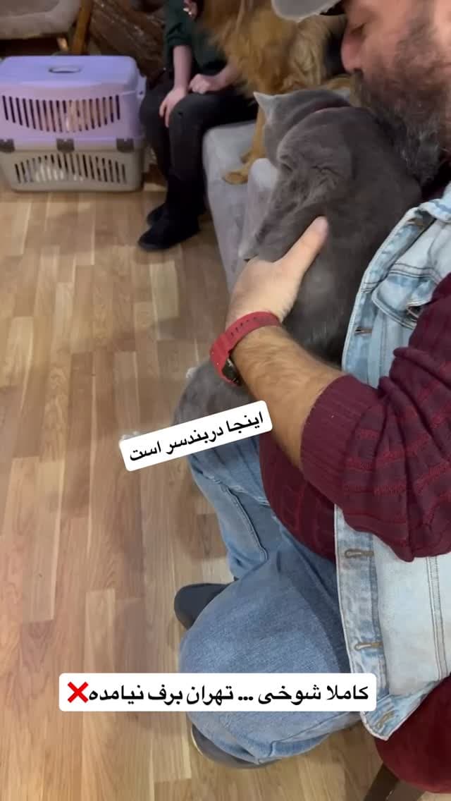  جدید ترین استوری اینستاگرام مسعود رضوی