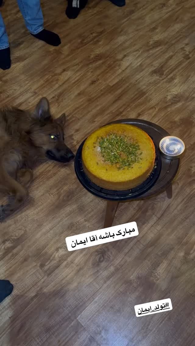  جدید ترین استوری اینستاگرام مسعود رضوی