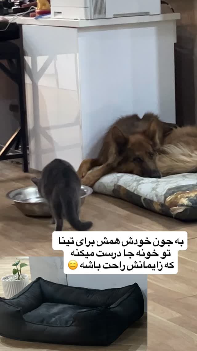  جدید ترین استوری اینستاگرام مسعود رضوی