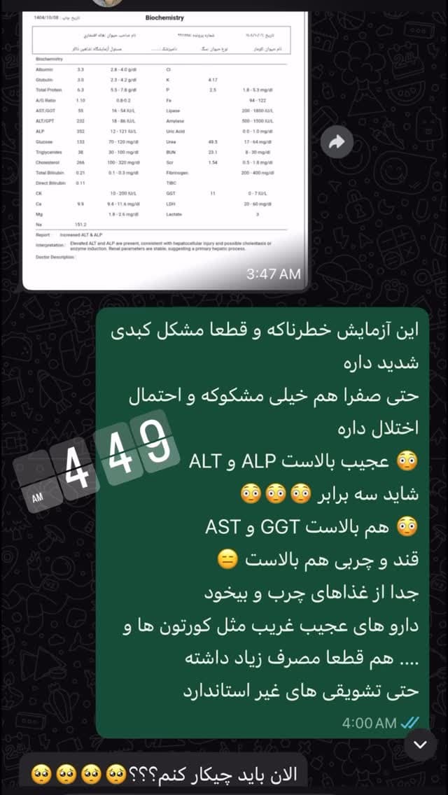  جدید ترین استوری اینستاگرام مسعود رضوی