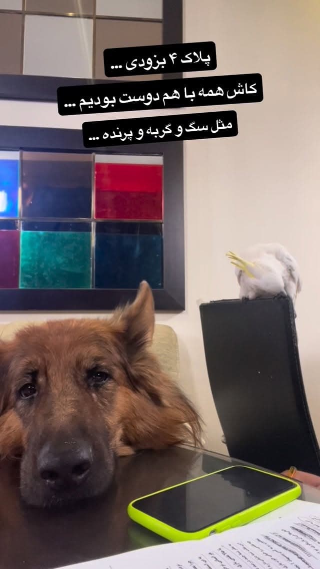  جدید ترین استوری اینستاگرام مسعود رضوی
