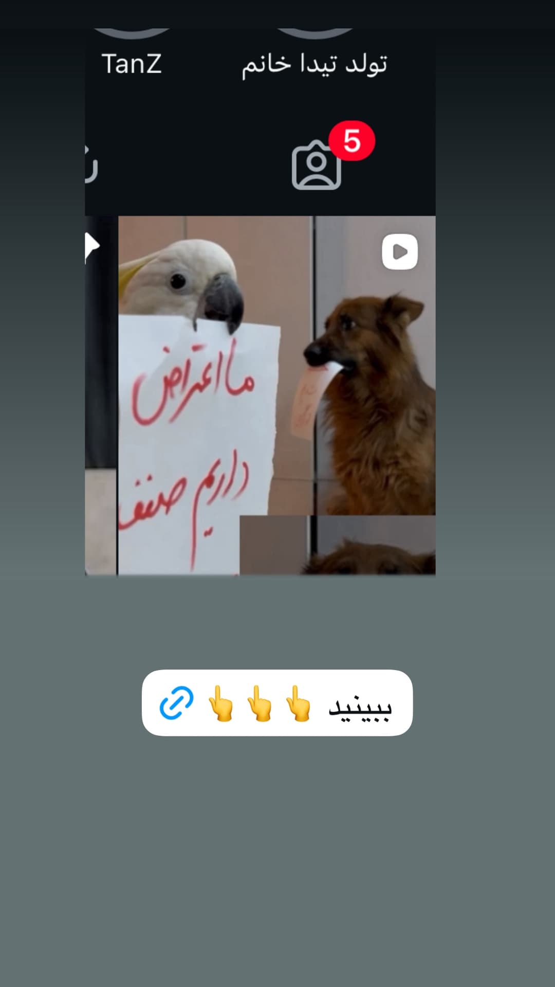  جدید ترین استوری اینستاگرام مسعود رضوی