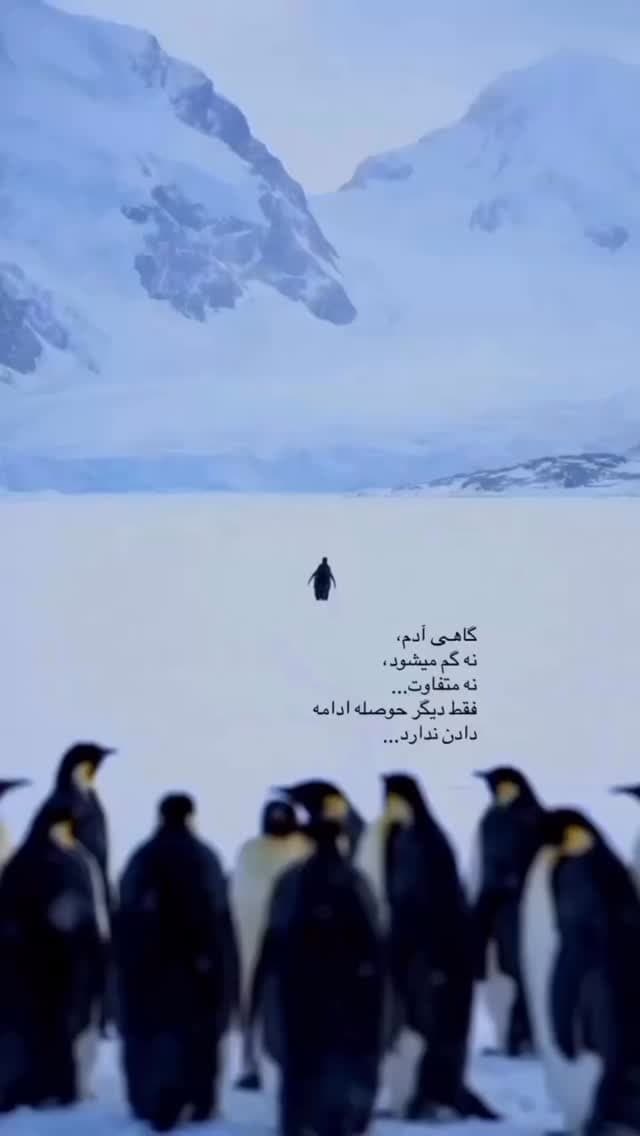 جدید ترین استوری اینستاگرام دوخطی