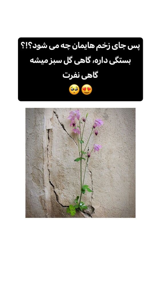 جدید ترین استوری اینستاگرام دوخطی