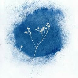 عکس پروفایل اینستاگرام آزاده قربانی / azadeh.ghorbani