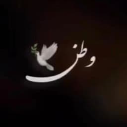 عکس پروفایل اینستاگرام بهاره افشاری / baharehafshariofficial