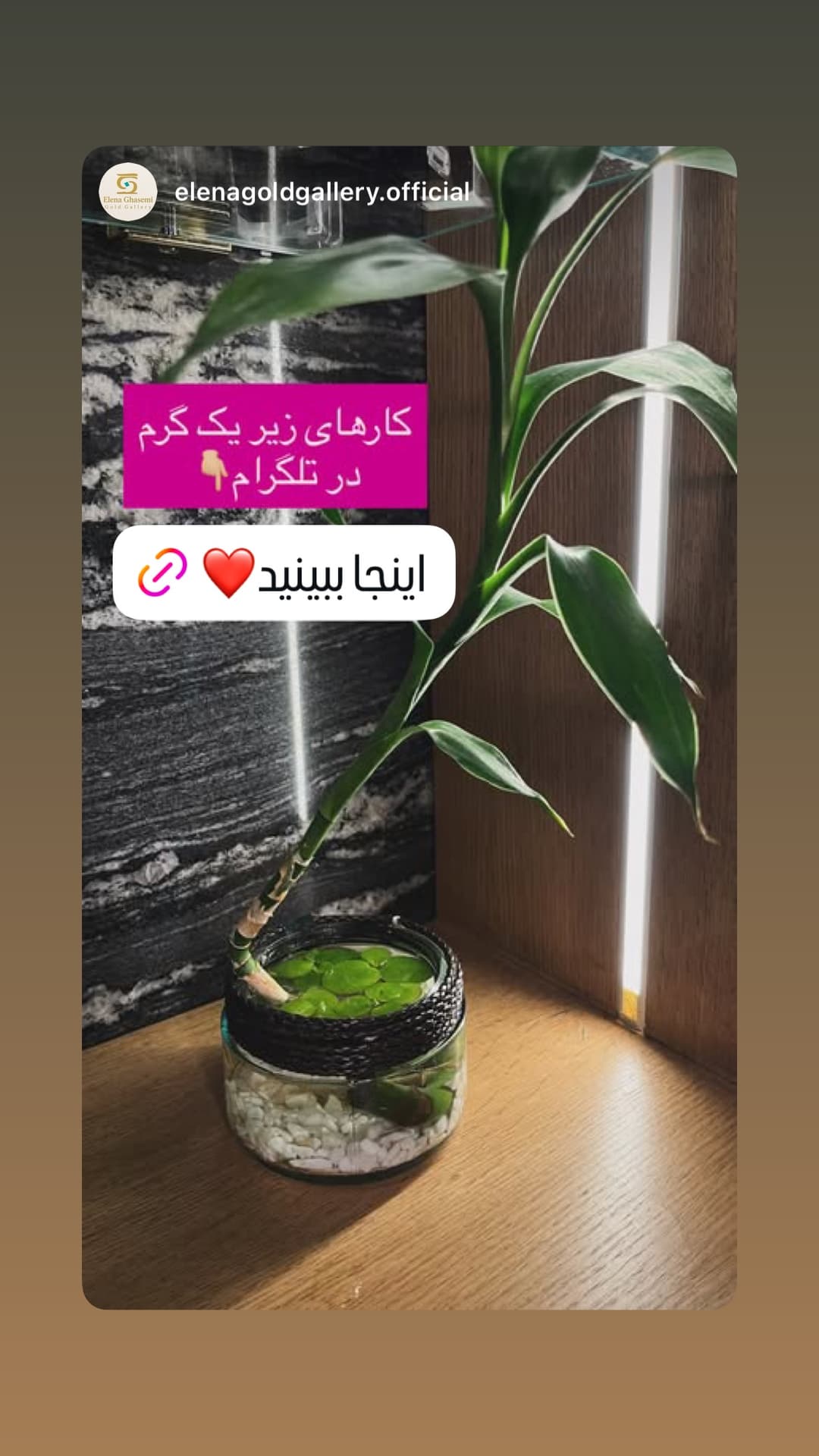 جدید ترین استوری اینستاگرام گالری طلای النا قاسمی